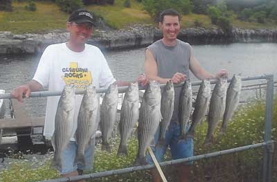 Photo of people with the fish they caught